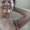 Photo of Sonia P.