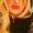 Photo of Carissa B.