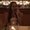Photo of Maha R.