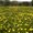 Photo of Qype User (densde…)