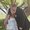 Photo of Tammie M.