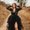 Photo of Shelbie Lynne M.