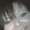 Photo of Jennifer C.