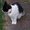 Photo of Anneliese H.