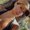Photo of Jazmine M.