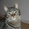 Qype User (mogwai…)