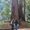 Photo of Desiree C.