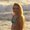 Photo of Laura T.