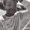 Photo of Solomon R.
