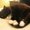 Photo of Corina G.