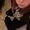 Photo of Amberly C.