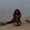 Photo of Matea F.