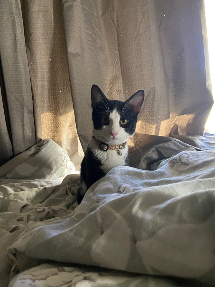 Yelp User Profile Pic