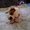 Photo of Trang L.