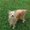 Photo of D M.