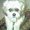 Photo of Trixie M.