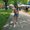 Photo of Karlie K.