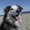 Photo of Donna S.