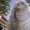 Photo of Tami P.