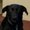 Photo of Lanae B.