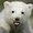 Photo of Qype User (tuladi…)