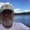 Photo of Jeff M.