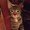 Photo of ZeeEmEss H.