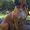 Photo of Heather H.
