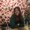 Photo of Cherin Y.