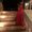 Photo of Ghazale K.