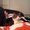 Photo of Brenna P.