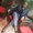 Photo of Angelica J.