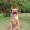Photo of Lexi A.