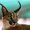 Photo of Qype User (rant8a…)