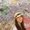 Photo of Lisa N.