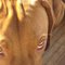 sarah k.'s profile image