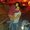 Photo of Antonio Sabrina S.