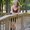 Photo of Shelbi R.