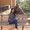 Photo of Claudia G.