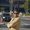 Photo of Aalok P.