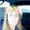 Photo of Kasia C.