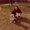 Photo of Mikayla S.