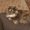 Photo of Peaches F.