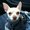 Photo of Mia G.
