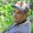 Photo of Greg M.