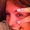 Photo of Lisa Y.
