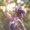 Photo of Desiree S.