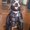 Photo of Erin L.