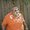 Photo of Sean H.