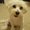 Photo of Dooly S.